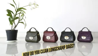 How Do You Clean Longchamp Bags