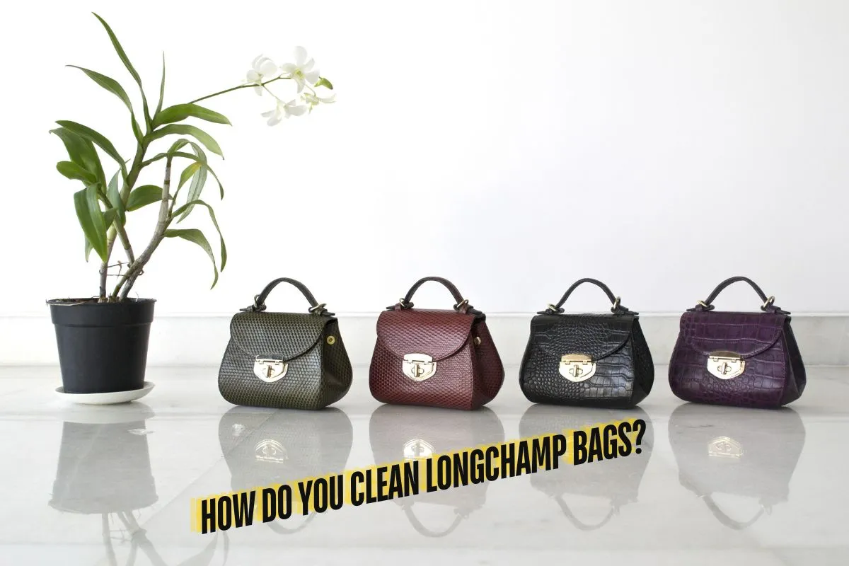 How Do You Clean Longchamp Bags