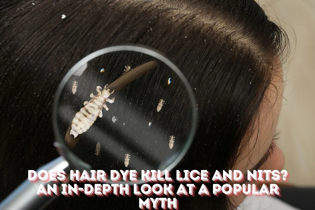 Does Hair Dye Kill Lice and Nits An In-Depth Look at a Popular Myth